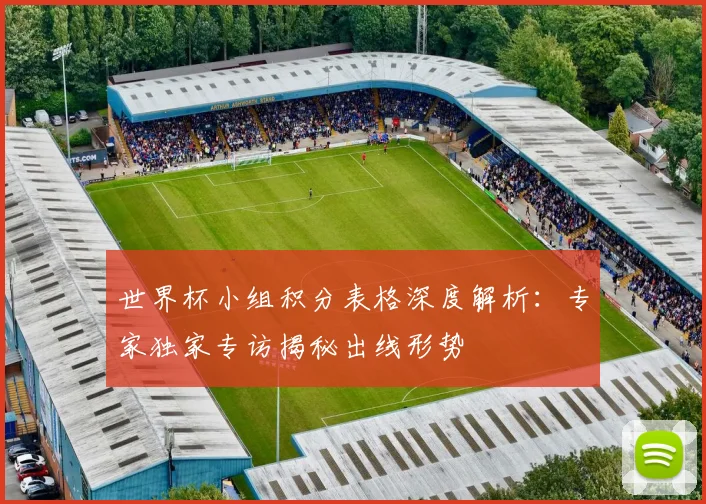 世界杯小组积分表格深度解析：专家独家专访揭秘出线形势